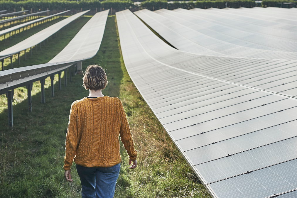 Person walking in a solar farm