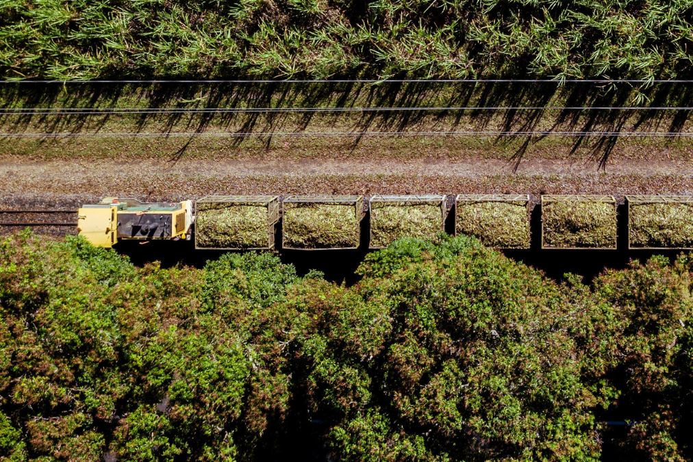 Aerial view of fields and vehicle carrying cut crops