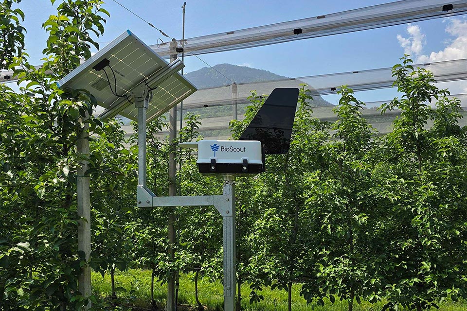 Bioscout device in field of trees