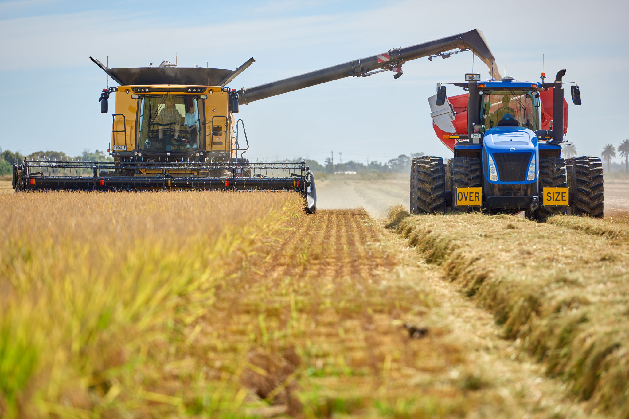tractors-on-rice-field