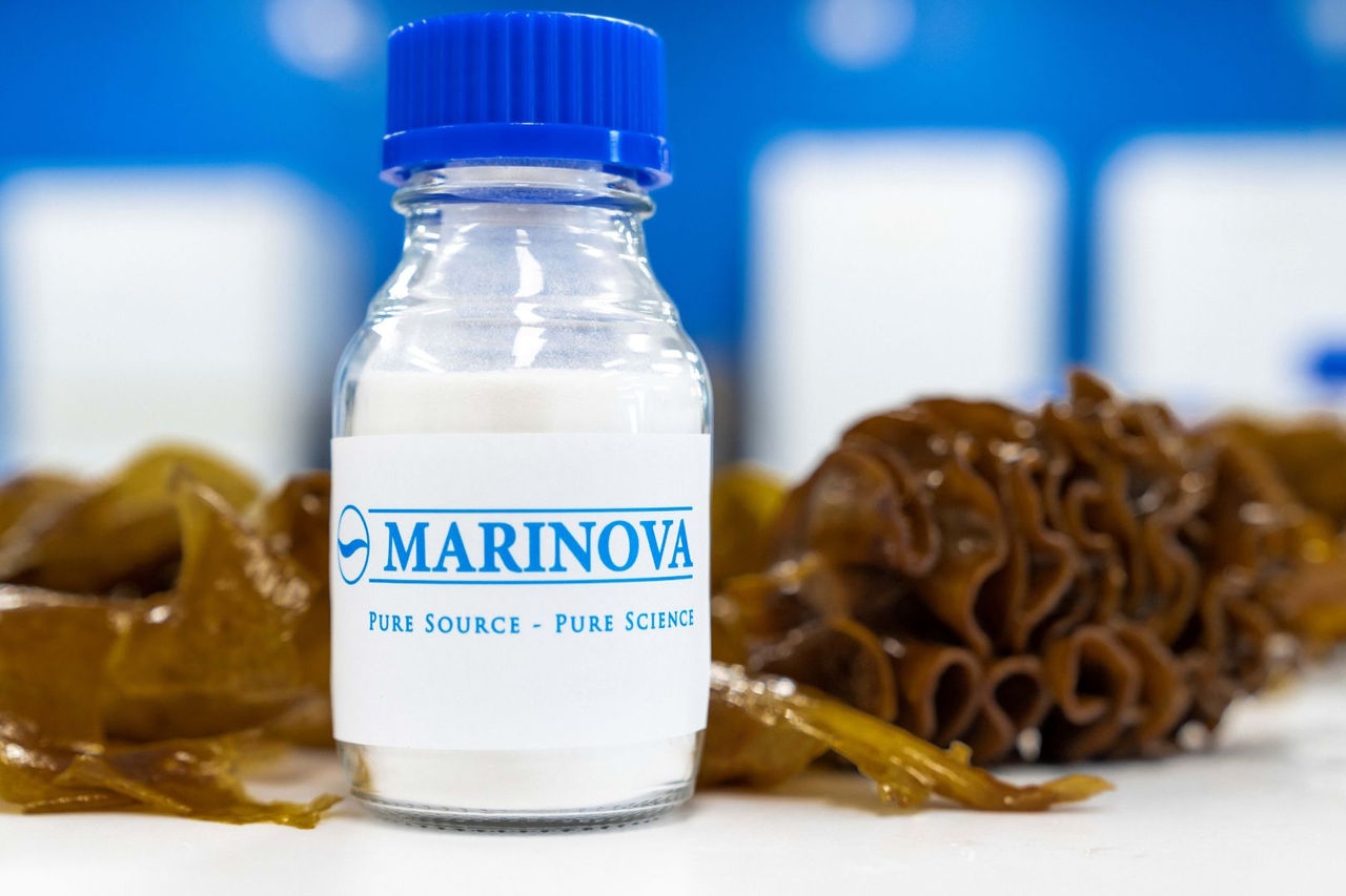 a small glass bottle with a blue cap contains a white substance sits on a table surrounded by seaweed