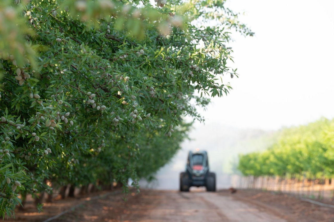 a tractor drives along a dirt road surrounded by trees on either side of the road