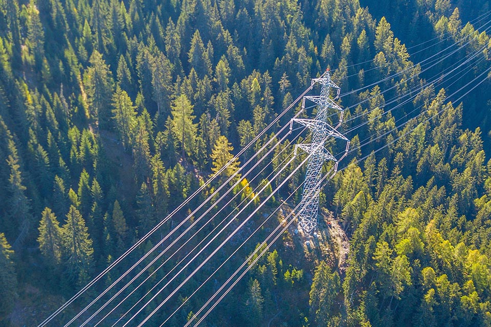 Aerial view of electricity transmission tower in fir tree forest
