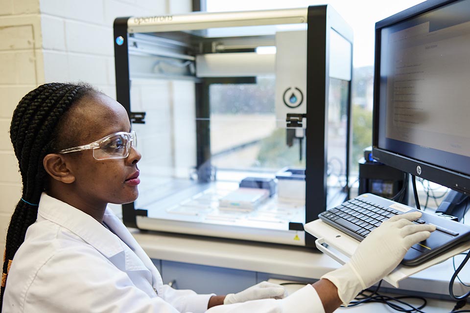 Staff member in laboratory viewing computer