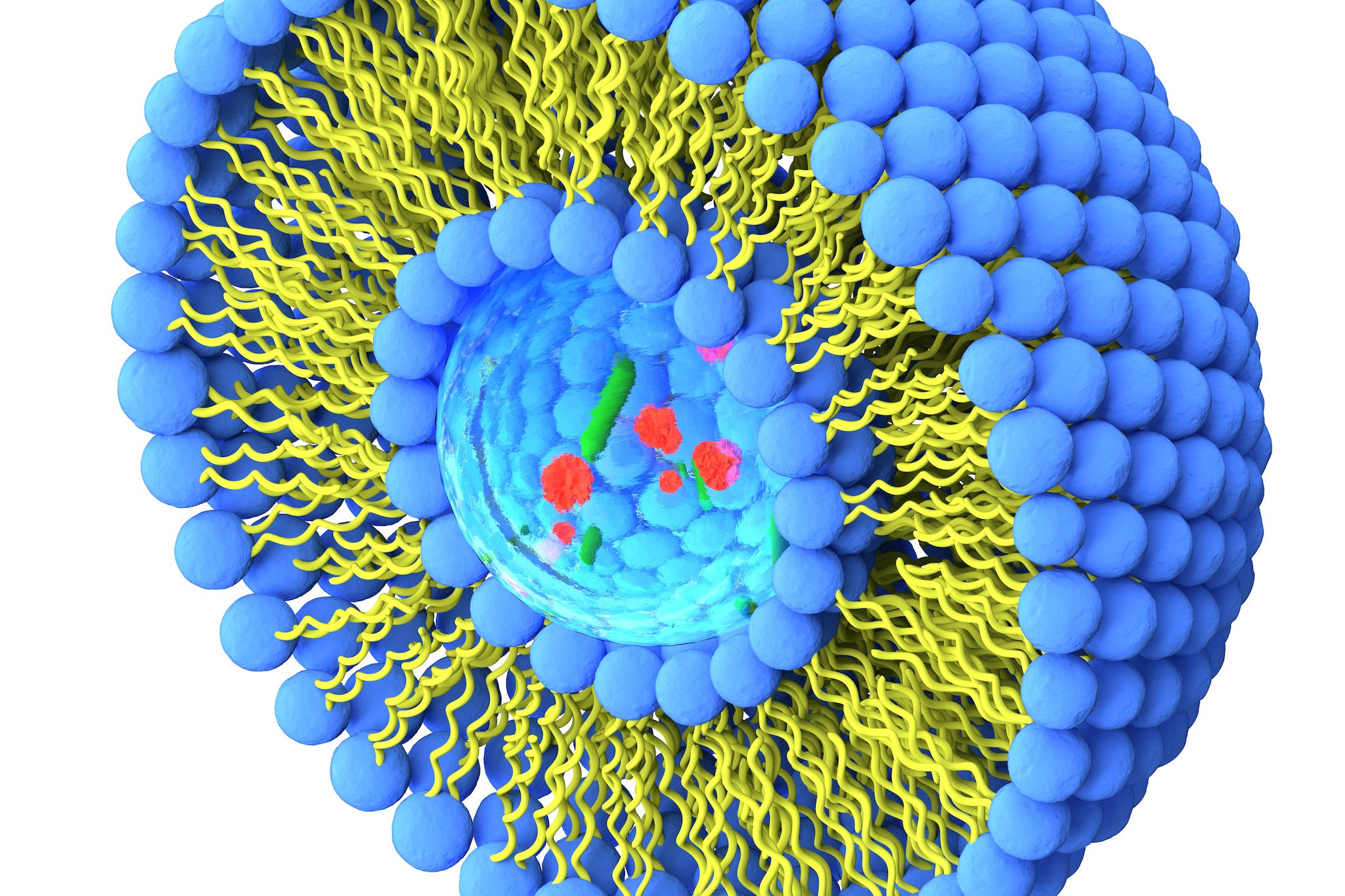 Structure-of-liposome-3d-render-illustration