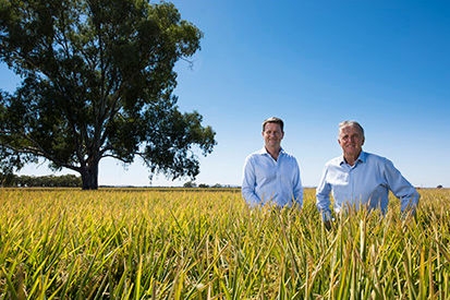 Two men from Sunrice standing in a rice field