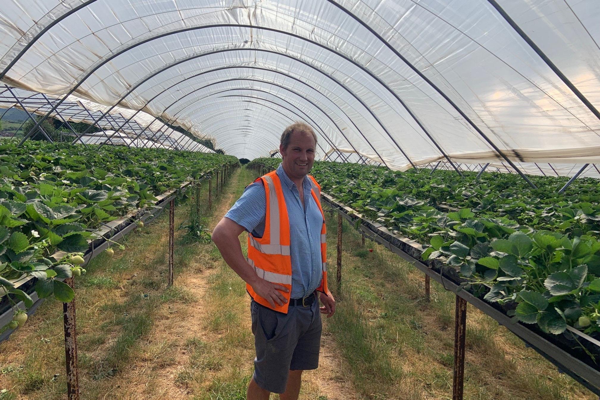 man-standing-greenhouse